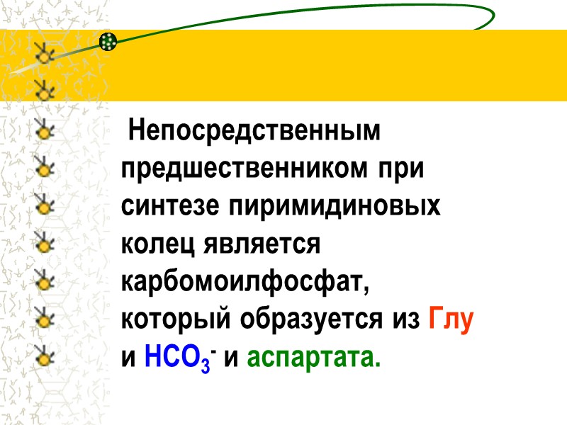 Непосредственным           предшественником при 